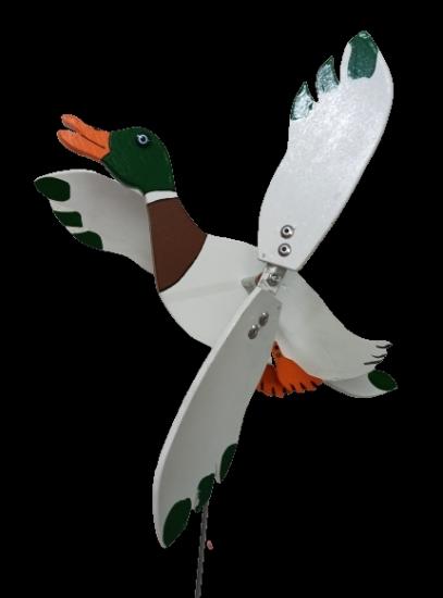 Midi Yeşil Başlı Ördek